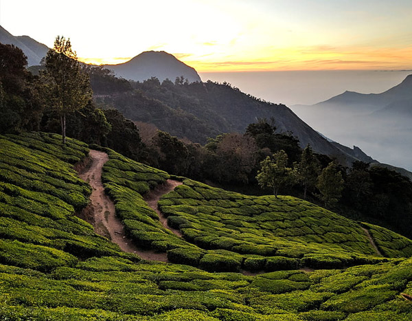 Bangalore to Kodaikanal Munnar Taxi Booking